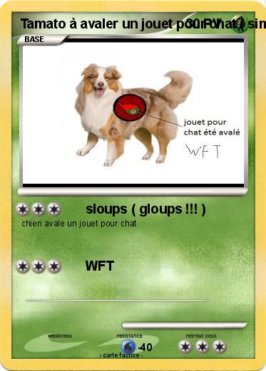 Pokemon Tamato à avaler un jouet pour chat ( sims 3 )