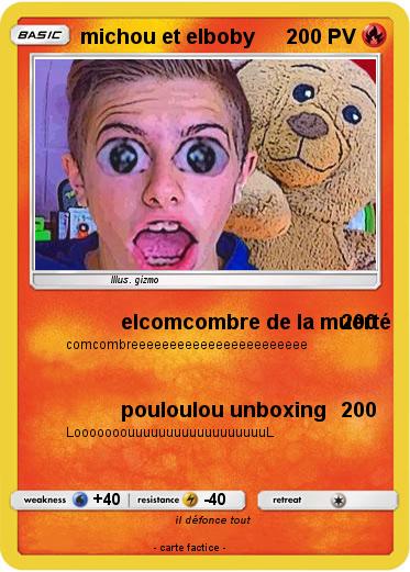 Pokemon michou et elboby