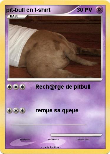 Pokemon pit-bull en t-shirt