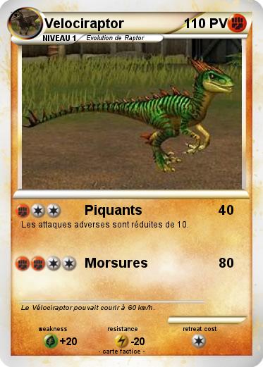 Pokemon Velociraptor