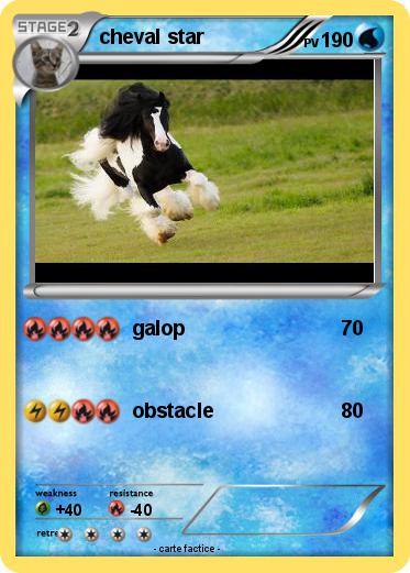 Pokemon cheval star