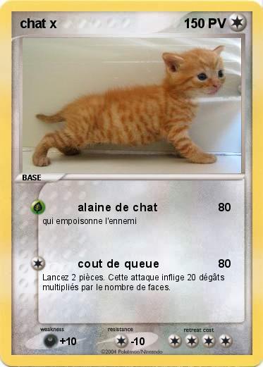Pokemon chat x