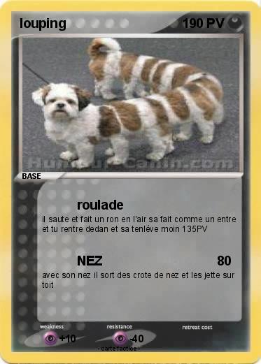 Pokemon louping