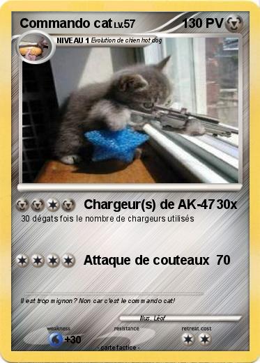 Pokemon Commando cat