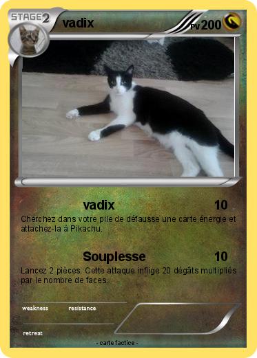 Pokemon vadix