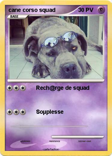 Pokemon cane corso squad