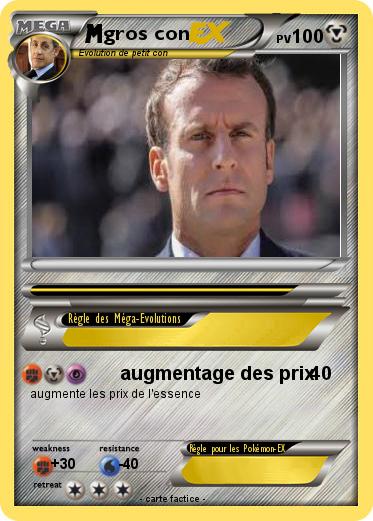 Pokemon gros con