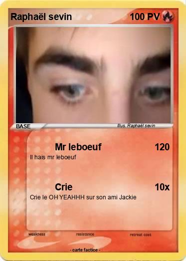 Pokemon Raphaël sevin