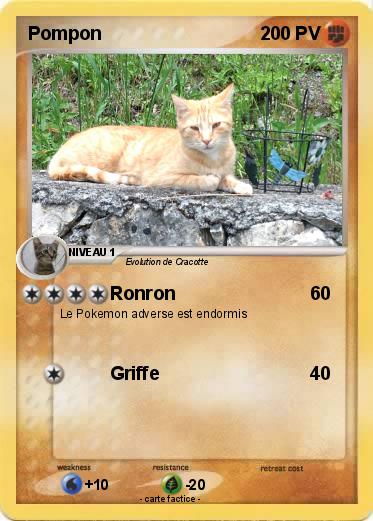 Pokemon Pompon