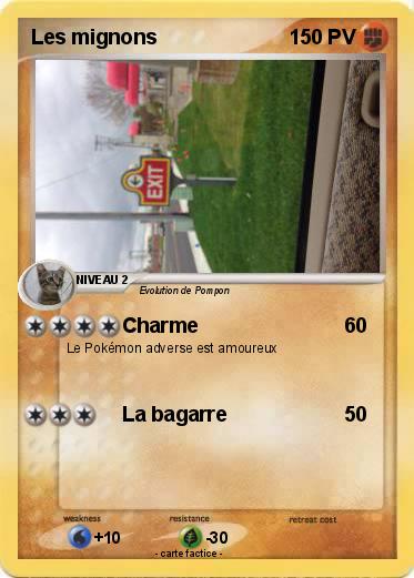 Pokemon Les mignons