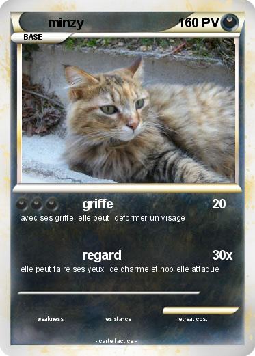 Pokemon minzy