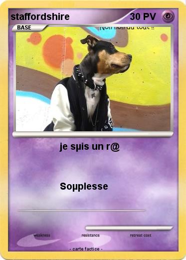 Pokemon staffordshire