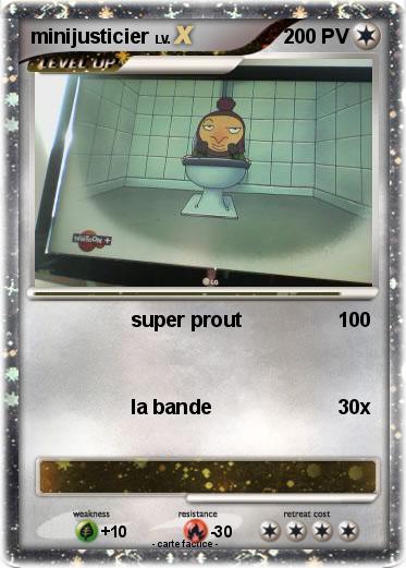 Pokemon minijusticier