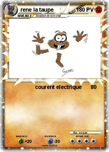 Pokemon rene la taupe