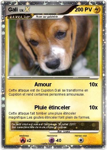 Pokemon Gali