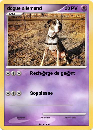 Pokemon dogue allemand