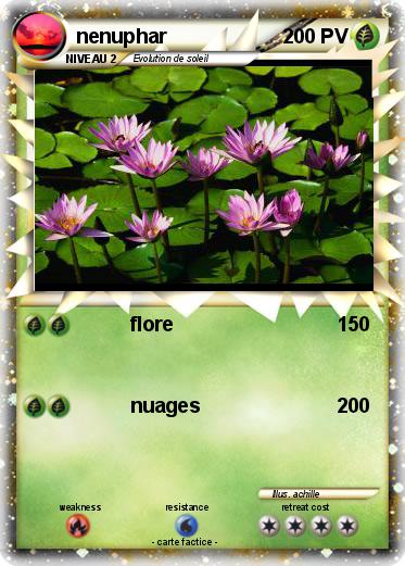 Pokemon nenuphar