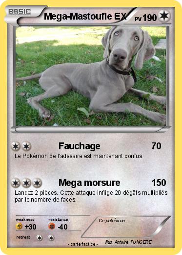 Pokemon Mega-Mastoufle EX
