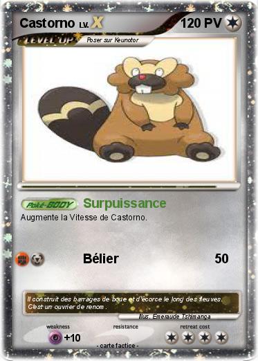 Pokemon Castorno