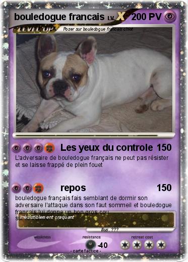 Pokemon bouledogue francais