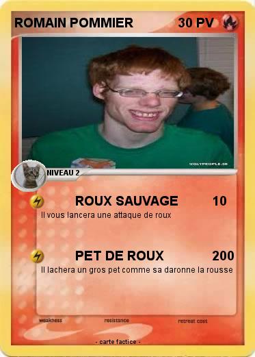 Pokemon ROMAIN POMMIER