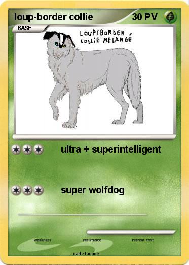 Pokemon loup-border collie