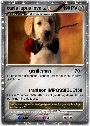 Pokemon canis lupus love