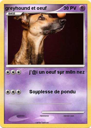 Pokemon greyhound et oeuf