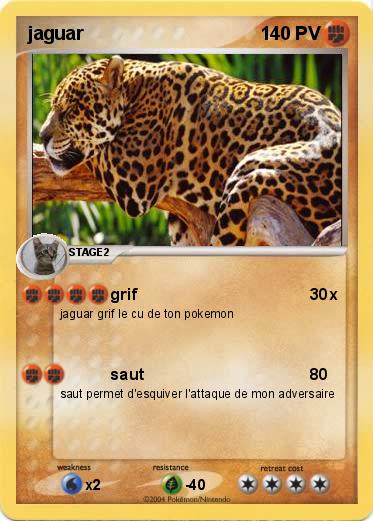 Pokemon jaguar