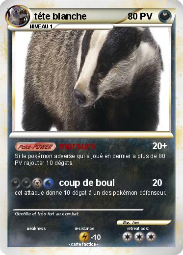 Pokemon téte blanche
