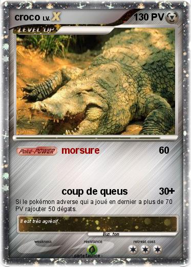 Pokemon croco