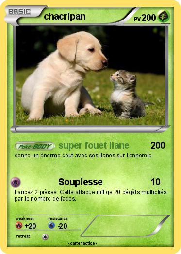 Pokemon chacripan