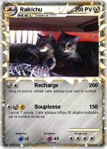 Pokemon Raikichu