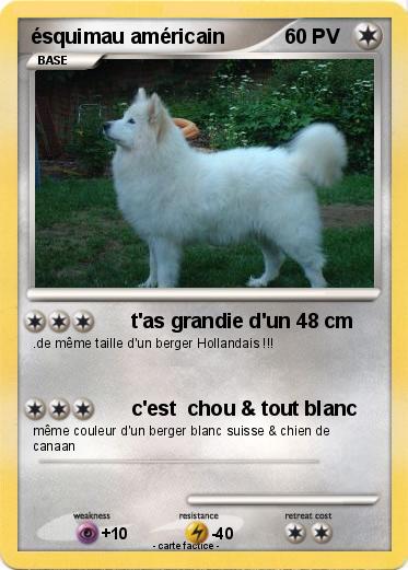 Pokemon ésquimau américain