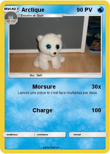 Pokemon Arctique