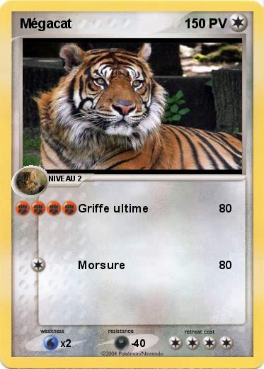 Pokemon Mégacat