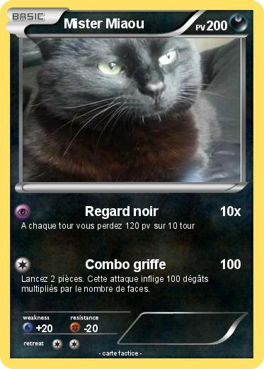 Pokemon Mister Miaou