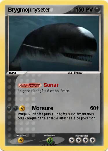 Pokemon Brygmophyseter