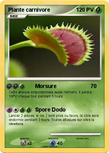Pokemon Plante carnivore