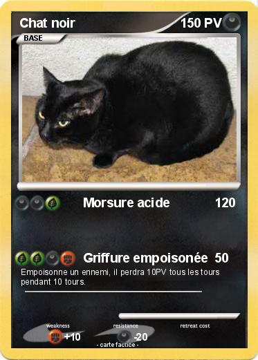 Pokemon Chat noir