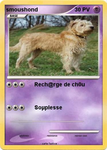 Pokemon smoushond