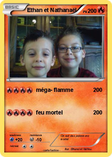 Pokemon Ethan et Nathanaël