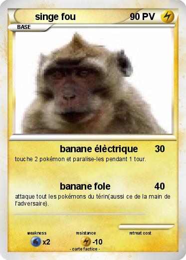 Pokemon singe fou