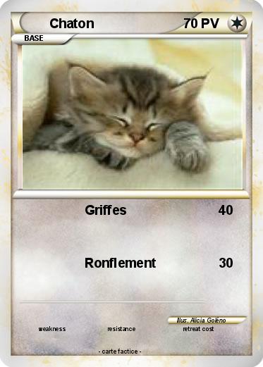 Pokemon Chaton
