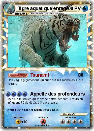 Pokemon Tigre aquatique enragé