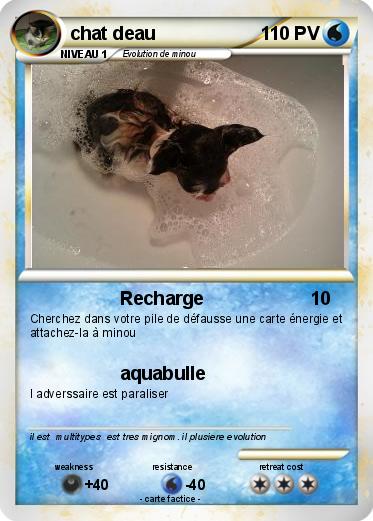 Pokemon chat deau