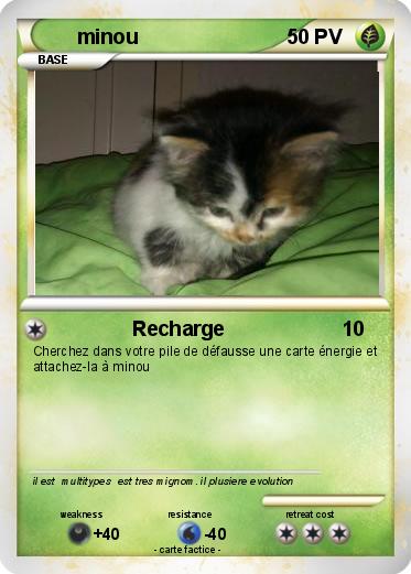 Pokemon minou