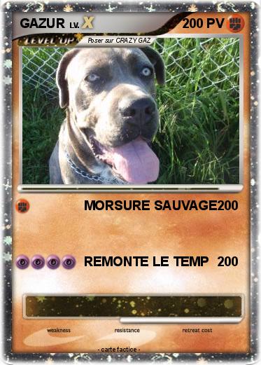 Pokemon GAZUR