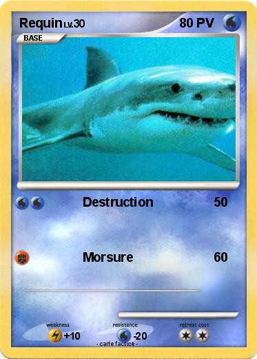 Pokemon Requin