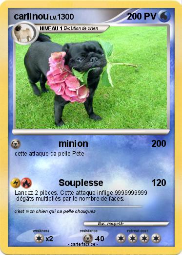 Pokemon carlinou